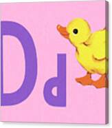 D As In Duck Canvas Print