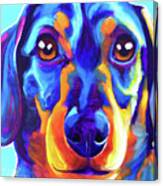 Dachshund Oscar Canvas Print