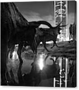 Dallas Texas Longhorn Cattle Drive Sculptures And Skyline Reflections - Monochrome Canvas Print