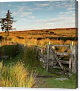 Dartmoor Gate At Sunrise Ii Canvas Print