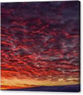 Dawn Of A Cold Day Canvas Print