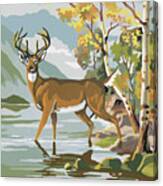 Deer In Lake Canvas Print