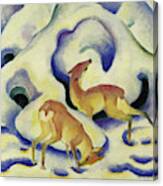 Deer In The Snow, 1911 Canvas Print