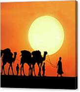 Desert Camel Rides Canvas Print