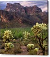Desert Mountains And Cactus Canvas Print