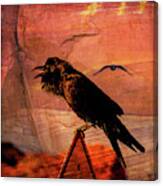 Desert Raven Canvas Print