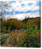 Desert Wildflowers In The Valley Canvas Print