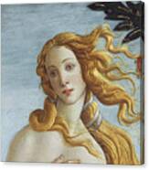 3dRose lsp_162552_2 Botichelli The Birth of Venus 1485 Famous Classic Art by Italian Masters Ocean Sea Shell Masterpiece Light Switch Cover 