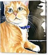 Diego Ginger Tabby Cat Painting Canvas Print