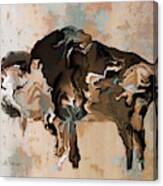 Montana Bison 6d Canvas Print