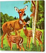 Doe And Two Fawn Canvas Print