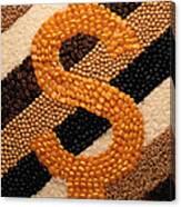 Dollar Sign In Beans And Grains Canvas Print