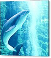 Dolphin Canvas Print