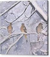 Doves In Snow Canvas Print
