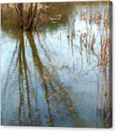 Down By The Swamp Canvas Print