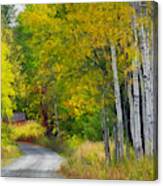 Birch Lane Canvas Print