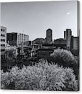 Downtown Tucson Black And White Canvas Print