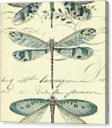 Dragonfly Ephemera Ii Canvas Print