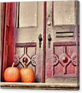 Dreamy Doors Canvas Print