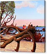 Driftwood Dreamers, Jekyll Island, Ga Canvas Print