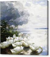 Ducks At The Lakes Edge Canvas Print