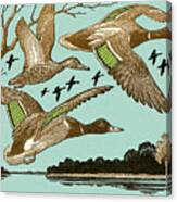 Ducks Flying Canvas Print