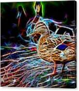 Ducks On Shore Wizard Canvas Print