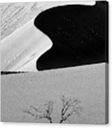 Dune Curves Canvas Print