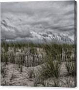 Dunes Day Canvas Print