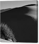 Dunes Of White Sands Canvas Print