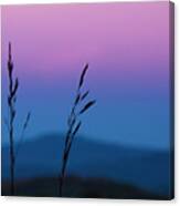 Dusk In A Field Canvas Print