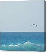 Eagle Flying Over Sea Canvas Print