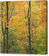 Early Autumn On The Bruce Canvas Print