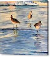 Early Morning Waders Canvas Print