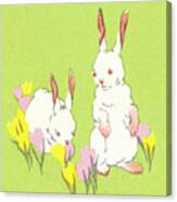 Easter Bunnies Canvas Print
