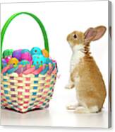 Easter Bunny And Basket Of Coloured Eggs Canvas Print