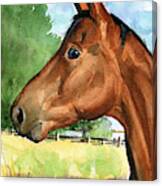 Eddie Horse Painting Canvas Print