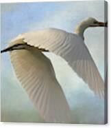 Egret In The Clouds Canvas Print