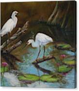 Two Egrets--missed Again Canvas Print