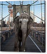 Elephant Crossing Brooklyn Bridge Canvas Print