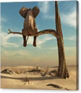 Elephant Stands On Thin Branch Canvas Print