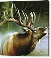 Elk In Mist Canvas Print