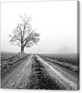 Empty Country Road Canvas Print