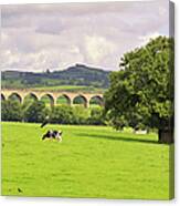 English Countryside Scenic In Yorkshire Canvas Print