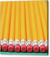 Eraser-tipped Pencils Canvas Print