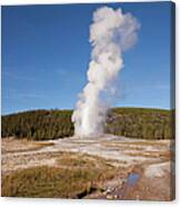 Eruption Of Old Faithful In Yellowstone Canvas Print