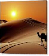 Evening Desert Safari Canvas Print