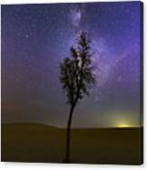 Evening With Stars Canvas Print