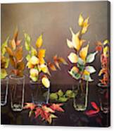 Every Leaf Is A Flower Canvas Print
