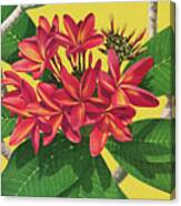 Exotic Flower Canvas Print